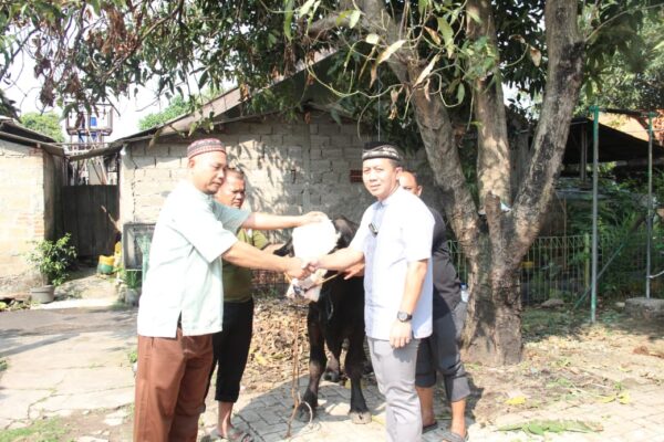 Dandim 0506/Tangerang Serahkan Hewan Kurban 3 Sapi dan 3 Kambing